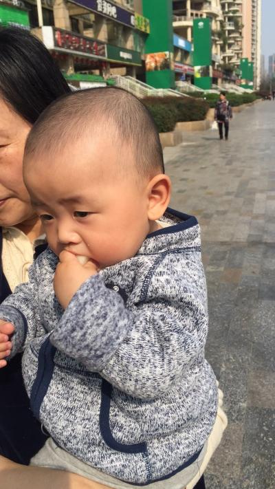 爱吃白果