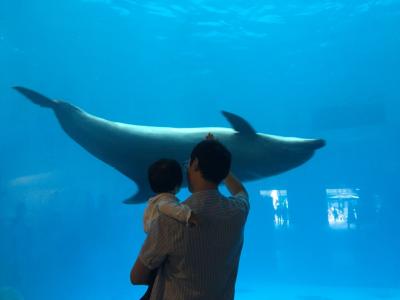 海洋公园游记🐬